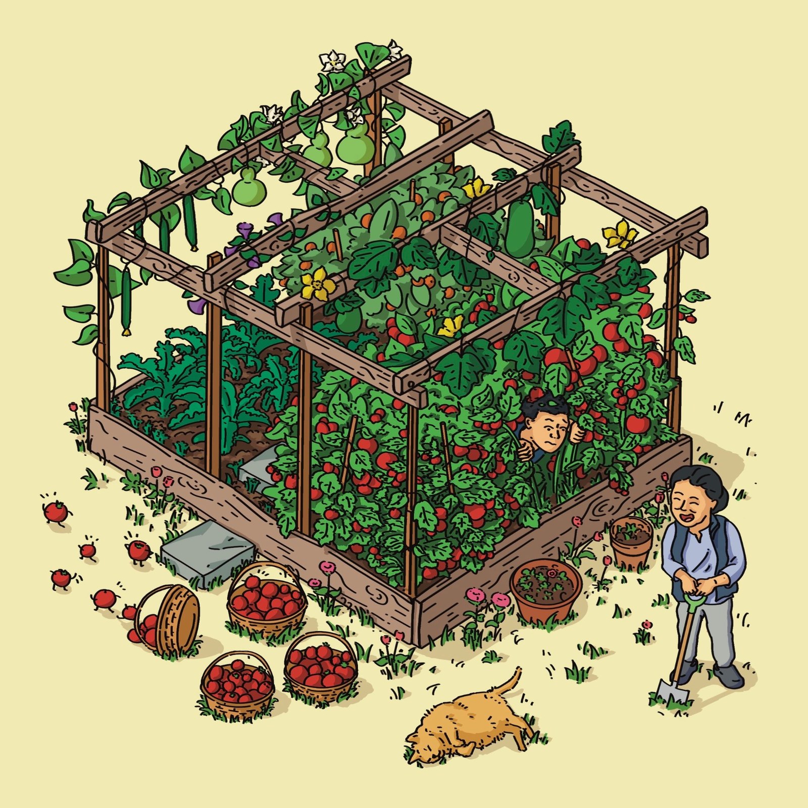 Tomato garden: an overgrown backyard garden bed bursting with tomatoes, baskets of tomatoes, a laughing gardener and a sleeping cat